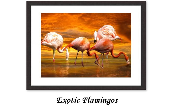 Exotic Flamingos Framed Print
